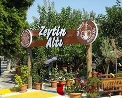 Kutu Harf Tabela Antalya | Zeytin Altı Cafe Antalya